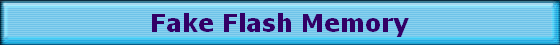 Fake Flash Memory
